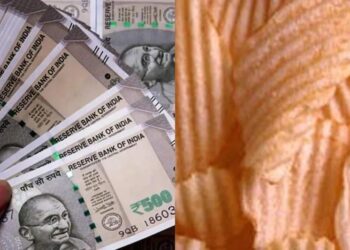 अगदी कमी खर्चात सुरु करा हा व्यवसाय, बाजारात मोठी मागणी